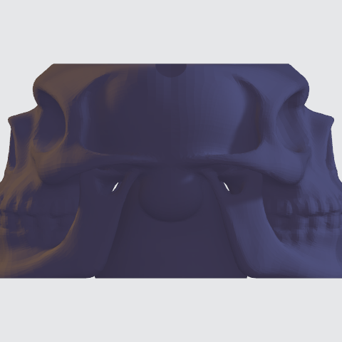 Kétoldalas Koponya Tál – Cukor vagy Salsa